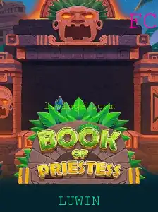 Book of Priestess: Uma Jornada Épica nos Mistérios de LUWIN